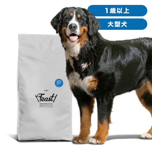 INUMESHI　フィースト　1歳以上　大型犬用　15kg　ブリーダーパック　ドッグフード　成犬用　高齢犬用　大粒　大容量　大袋