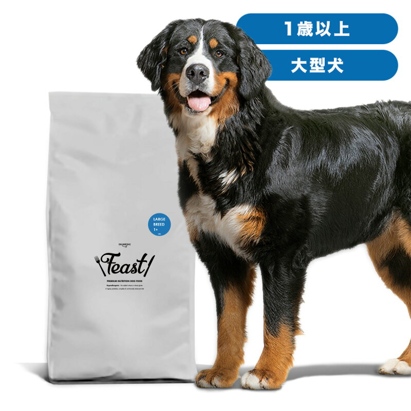 INUMESHI フィースト 1歳以上 大型犬用 15kg