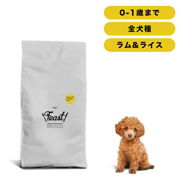 INUMESHI　フィースト　ラム&ライス　子犬用　全犬種用　15kg　ブリーダーパック　ドッグフード　パピー　中粒　大容量　大袋