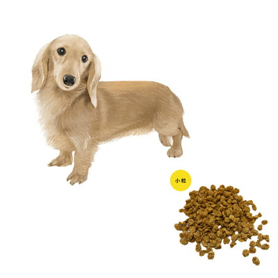 成犬用ミニチュアダックス　ドッグフード　小粒　500g／ドッグフード ドックフード ペットフード 国産 プレミアム ドライフード パピー 成犬 シニア 犬種別 トイプードル チワワ ミニチュアダックス　ミックス犬 国産原材料 マルセイ