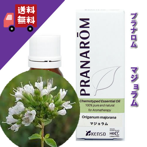 プラナロム マジョラム 10ml p-136 正規品シソ科 リラックスハーブ系 マヨラナ 爽やかでスパイシーな香り（オーガニック 精油 アロマオイル ケモタイプ エッセンシャルオイル）【PRANAROM プラナロム 健草医学舎 ケンソー】