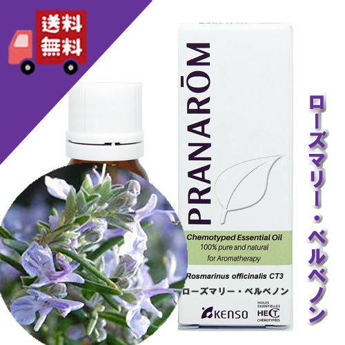 【ローズマリーベルベノン 10ml】→ローズマリーの中でも一段と爽やかでフレッシュな香り♪（リフレッシュハーブ系）100%ピュアの天然無農薬有機栽培オイル【PRANAROM（プラナロム）】（精油/アロマオイル/エッセンシャルオイル）P-161