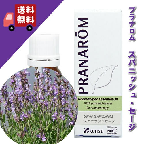 スパニッシュセージ 10ml 精油 リフレッシュハーブ系