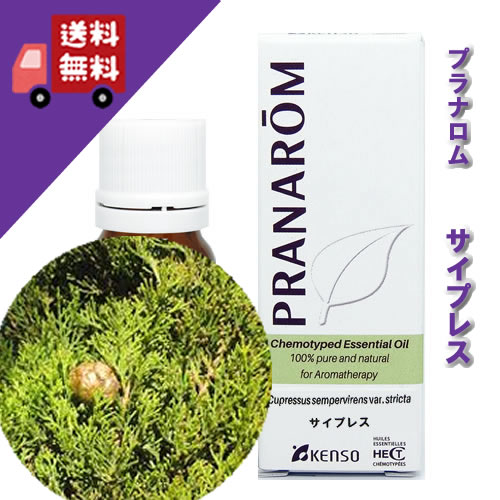 プラナロム サイプレス 10ml p-55 正規品ヒノキ科 森林浴系 森林浴気分が楽しめる香り（オーガニック 精油 アロマオイル ケモタイプ エッセンシャルオイル）【PRANAROM プラナロム 健草医学舎 ケンソー】