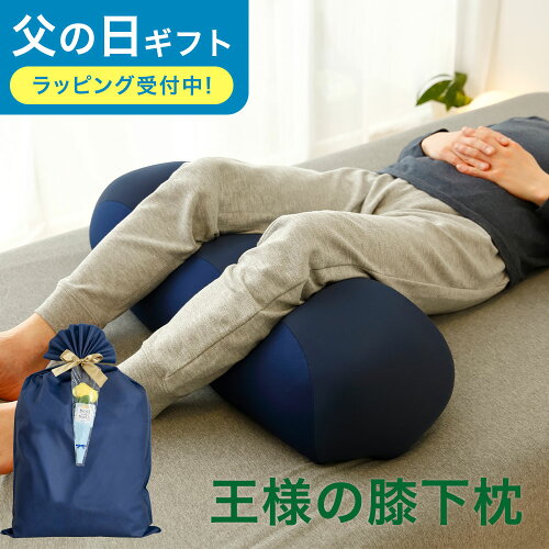 父の日 ギフト プレゼント 【楽天1位】王様の膝下枕 （足をドサっと乗っけるだけで足や腰が楽になるリラックス枕）超極小ビーズ 膝の下に入れる枕 健康 癒し グッズ アイテム 誕生日 王様の枕 ビーチ 足枕 寝るとき 就寝 膝枕 男性 女性 父の日 ギフト プレゼント