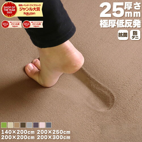 【5％オフクーポン！】 ラグ 低反発 極厚25mm 140×200cm 200×200cm 200×250cm 200×300cm 厚手 滑り止め ラグマット マット カーペット ホットカーペット対応 リビング 春 夏 おしゃれ 北欧 フリーリー