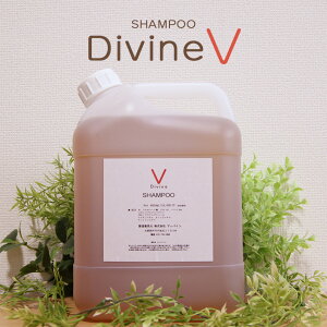 《抜け毛 ふけ かゆみ 頭皮ケアに》ディバイン ナノ シャンプーV 4000ml｜ ノンシリコンシャンプー オーガニックシャンプー スカルプシャンプー クレンジングシャンプー シャンプー 美容室専売 頭 かゆい かゆみ ふけ フケ 抜け毛 乾燥 敏感肌 頭皮 ノンシリコン 大容量