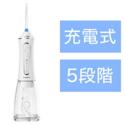 SARLISI 口腔洗浄器 Sarlisi WH SAKK08 SAKK08