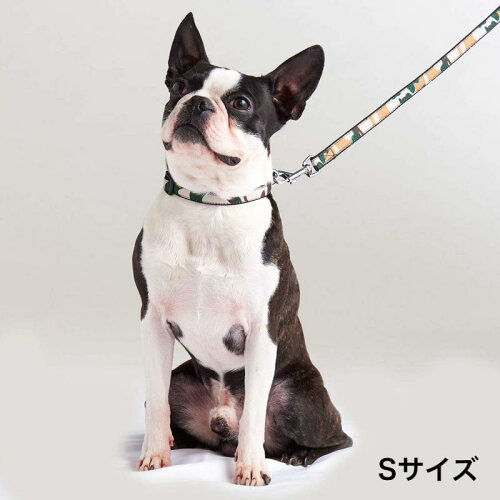 ペティオ (Petio) 首輪 Ethical Door エシカルドア 迷彩カラー ブラック 犬 S サイズ