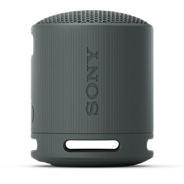 SONY｜ソニー ブルートゥーススピーカー ブラック SRS-XB100 BC [防水 /Bluetooth対応]