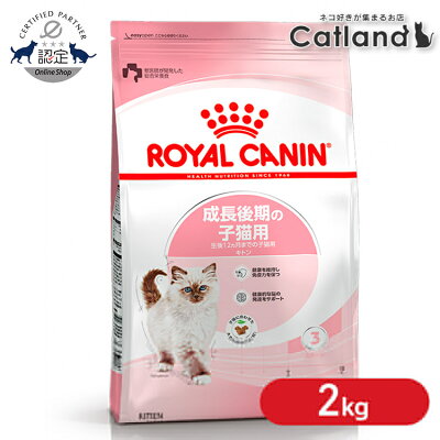 ロイヤルカナン キトン プレミアムフード ドライ ドライフード 猫 仔猫 猫フード 2kg 後期 キャットフード FHN 単品 2個セット 6個セット 生後12ヶ月齢までの子猫用 成長後期の子猫専用 3182550702423 ≪正規品≫ 【rccf11】