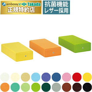 【ポイント6倍】高田ベッド カラー額マクラ（小高） 整体マクラ 整体枕 高さ6cm フェイスクッション フェイスマット 治療用マクラ 補助クッション 施術マクラ 施術用マクラ マッサージマクラ 枕 国産 TB-77c-10