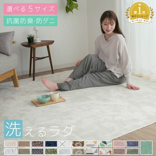 ラグ 洗える 1畳 1.5畳 2畳 3畳 4畳 洗えるラグ おしゃれ 北欧 防ダニ 冬 床暖房対応 オールシーズン 滑り止め マット ラグマット カーペット ラグカーペット センターラグ 正方形 長方形 ホットカーペット対応 絨毯 A703