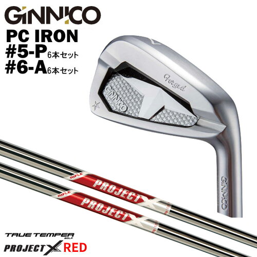 カスタムクラブ【6本セット#5-P/ #6-A】GINNICO ジニコ PC IRON アイアン TRUE TEMPERトゥルーテンパーPROJECT X RED プロジェクト X レッド アイアン シャフト