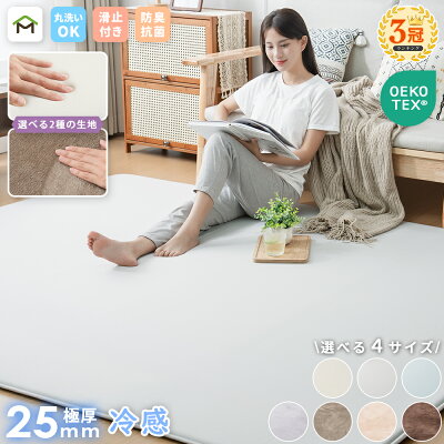【先着5名限定50%OFFクーポン配布中】【最安値に挑戦中】ラグ 夏用 ラグマット 洗える 接触冷感 ひんやりラグ 高反発 厚手 25mm 2畳 3畳 フランネル 防音 滑り止め付 床暖房 ホットカーペット対応 こたつ 対応 正方形 長方形 カーペット 絨毯 北欧 オールシーズン 送料無料