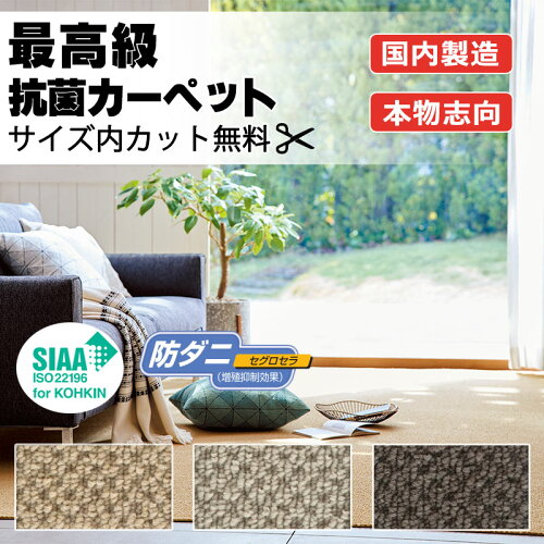 【最大ポイント28倍＋クーポン】カーペット 高級 通販 サイズ内カット無料 離島以外 送料無料 アスワン アスボニー：BNI ラグマット(横240×縦340cm)切りっ放しのジャストサイズ