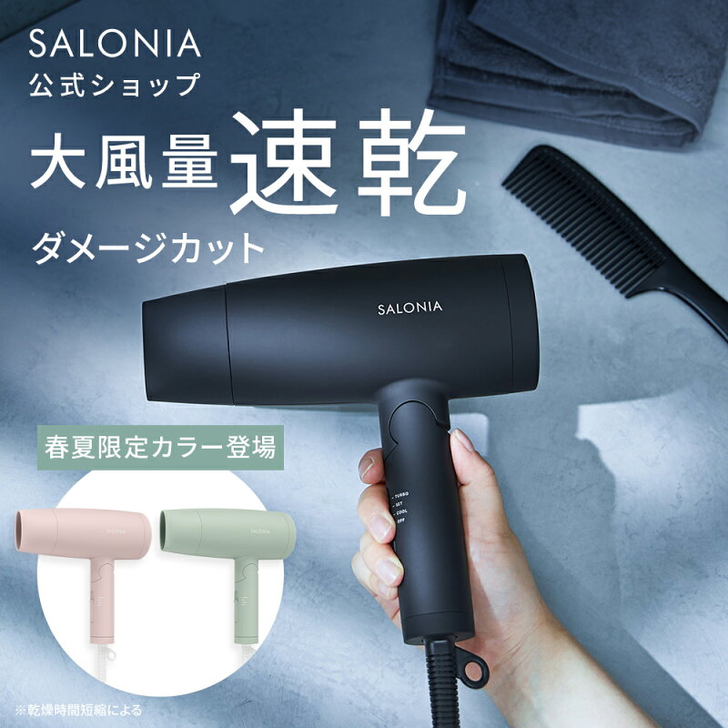スピーディー イオンドライヤー 大風量 速乾