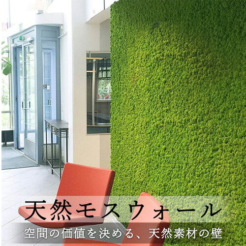 【ポイント5倍】天然 モスウォール 壁面装飾 | 法人 店舗装飾 壁面装飾 オフィス カフェ 向け | 北欧産 ウォールグリーン 40×60cm *壁面緑化 パネル* インテリアグリーン