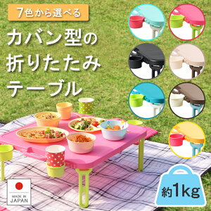 【4/24 20:22～！クーポンで5%OFF】【ランキング1位】＼ ZIP! & めざましテレビで紹介／折りたたみテーブル 【バタフライレジャーテーブル角型】 アウトドアテーブル ミニテーブル ピクニックテーブル プラスチック 子供 コンパクト 軽量 軽い持ち運び キャンプBBQ★