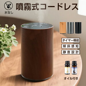 【オイル追加】アロマディフューザー 水なし コードレス 50H連続使用 車用 ディフューザー アロマ コードレス usb充電式 噴霧式 ネブライザー式 3段階ミスト量調整 漏れ防止 軽量 コンパクト 好きな場所で使える 消臭剤 小型 静音 部屋玄関オフィス