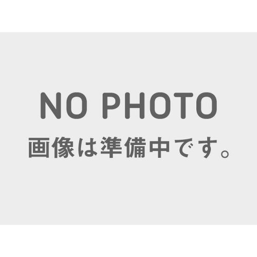 敷島（自転車） ステンリム28X1 1/2 L-879