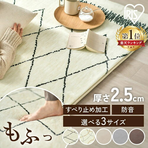 ラグ 厚手 防音 通年 冬 1.5畳 2畳 3畳 北欧 カーペット ラグマット 絨毯 2.5cm おしゃれ シンプル オールシーズン ホットカーペット130 185 240 滑り止め付き ペット 一人暮らし リビング アイリスオーヤマ 春夏秋冬 お手入れ簡単 ORG-25C
