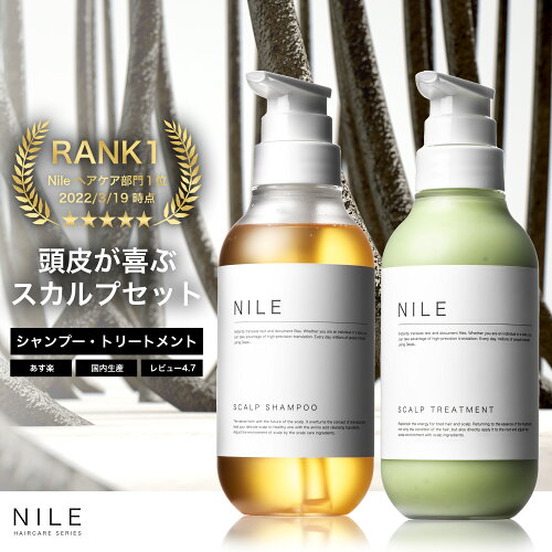 【5/23 20:00〜最大30%OFFクーポン!】NILE シャンプー トリートメント セット 濃密泡スカルプシャンプー & スカルプトリートメント メンズ スカルプケア コンディショナー