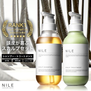 【5/23 20:00〜最大30%OFFクーポン!】NILE シャンプー トリートメント セット 濃密泡スカルプシャンプー & スカルプトリートメント メンズ スカルプケア コンディショナー