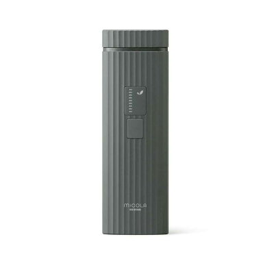 アイリスオーヤマ 光美容器 LB-M101-H