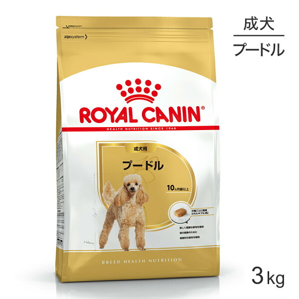 ■最大ポイント10倍【9/19〜要エントリー】ロイヤルカナン BHN プードル 成犬用 生後10ヵ月齢以上 3kg (犬・ドッグ)[正規品]