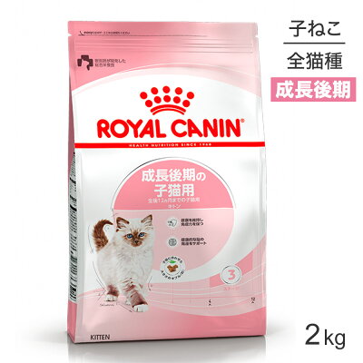 ■最大ポイント10倍【5/9〜要エントリー】ロイヤルカナン FHN キトン 成長後期の子猫用 生後12ヵ月齢まで 2kg (猫・キャット)[正規品]