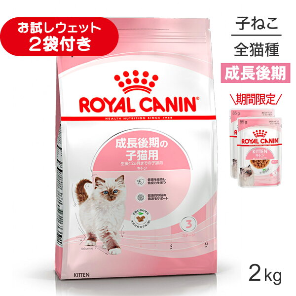 ■最大ポイント10倍【要エントリー】ロイヤルカナン FHN キトン 成長後期の子猫用 生後12ヵ月齢まで 2kg (猫・キャット)[正規品]