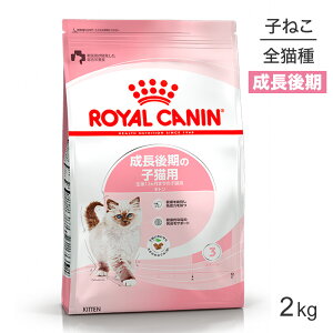 ■最大ポイント10倍【5/9〜要エントリー】ロイヤルカナン FHN キトン 成長後期の子猫用 生後12ヵ月齢まで 2kg (猫・キャット)[正規品]