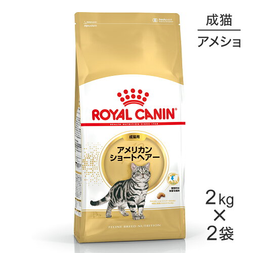 ■最大ポイント10倍【5/23〜要エントリー】【2kg×2袋】ロイヤルカナン FBN アメリカン ショートヘアー 成猫用 生後12ヵ月齢から12歳まで (猫・キャット)[正規品]