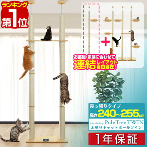 【楽天1位】キャットツリー 突っ張り ツイン 直径 10cm 高さ 240 - 255cm 幅 75cm 渡り板付き 猫タワー シニア 運動不足 木登り きのぼり 木登りタワー 木登りキャットポール 組み立て 設置 簡単 爪とぎ 多頭 猫 ねこ ペット ペット用品 1年保証 ■[送料無料]