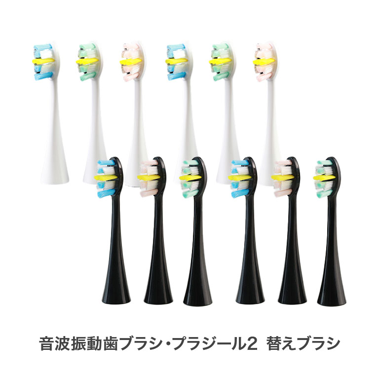 プラジール2 替えブラシ6本セット