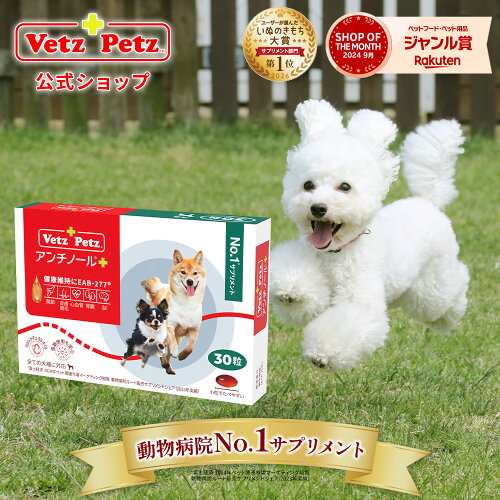 【公式】 アンチノール プラス ペット サプリ サプリメント 犬用 ペット用 関節 健康 皮膚 免疫 腎臓 脳 高齢 シニア モエギイガイ ナチュラル 動物 DHA EPA