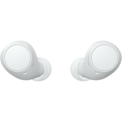 ソニー ワイヤレス イヤホン 左右分離 IPX4 最大22時間 USB-C WF-C510 WFC510 WZ ホワイト系