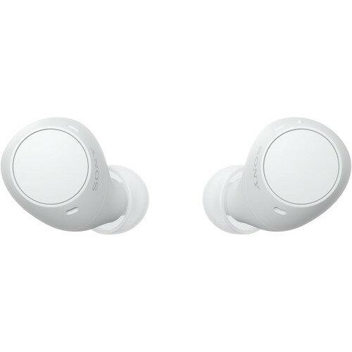 ソニー ワイヤレス イヤホン 左右分離 IPX4 最大22時間 USB-C WF-C510 WFC510 WZ ホワイト系